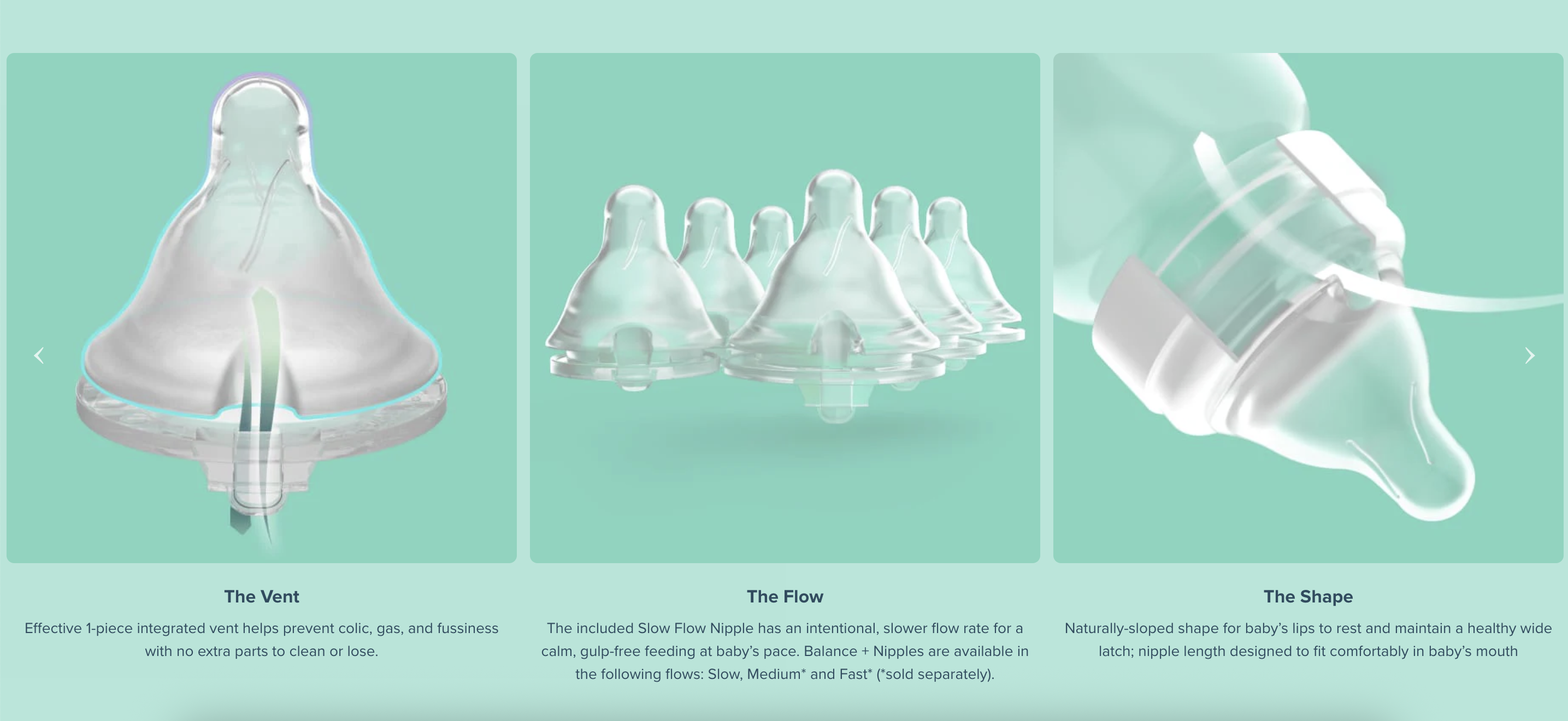 Evenflo Baby Bottles